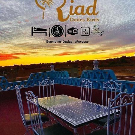 Riad Dades Birds Boumalne 外观 照片