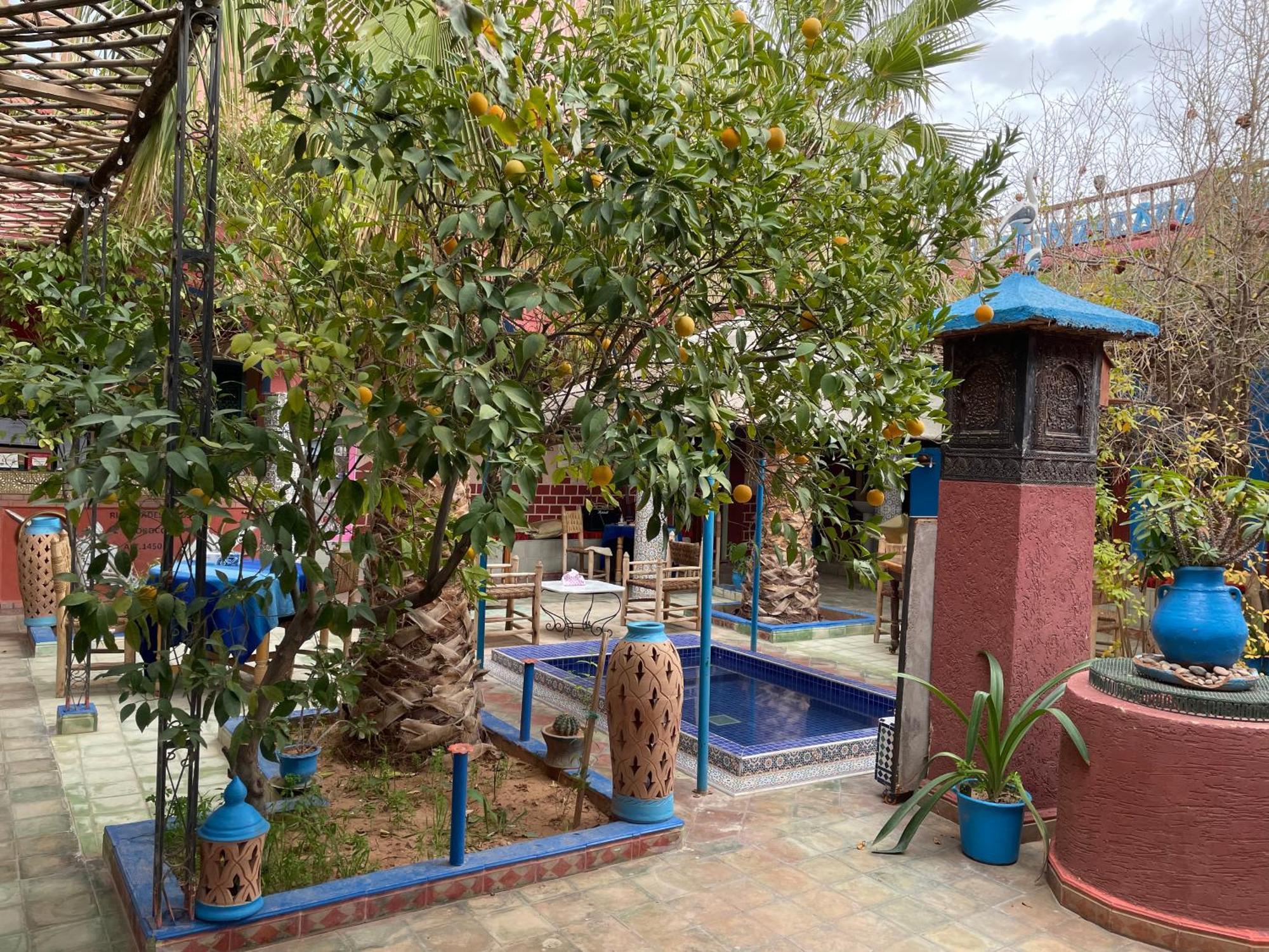 Riad Dades Birds Boumalne 外观 照片